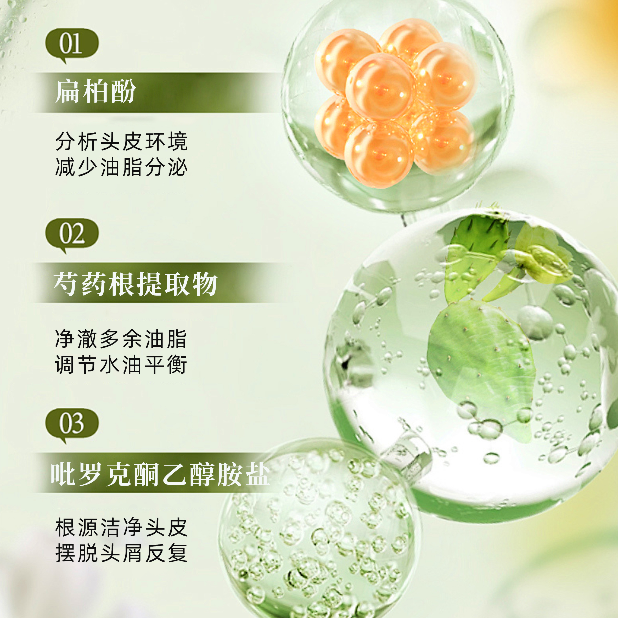 香氛控油去屑洗发露